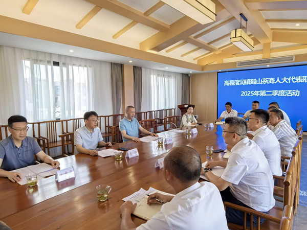 宜宾市人大信息技术咨询服务的创新与实践